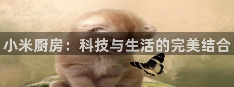 CQ9电子官方网站