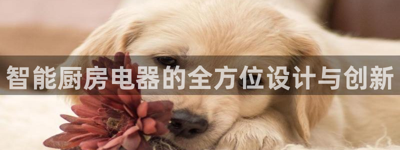 传奇cq9电子舞蹈