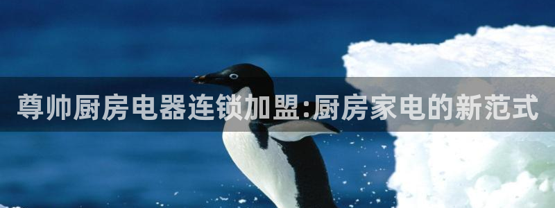 cq9电子不夜城