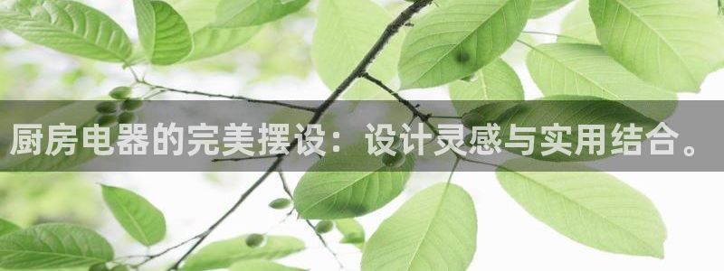 cq9电子试玩网站