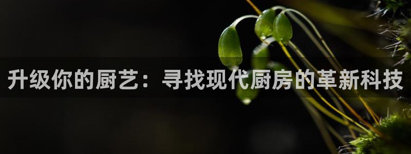 cq9电子游戏武圣