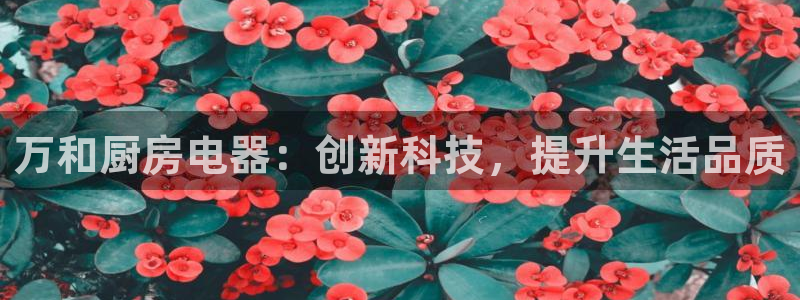 cq9电子价格打法