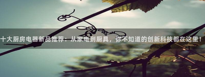 cq9电子线上平台