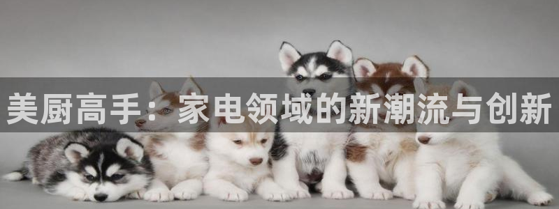 免费MG CQ9 电子