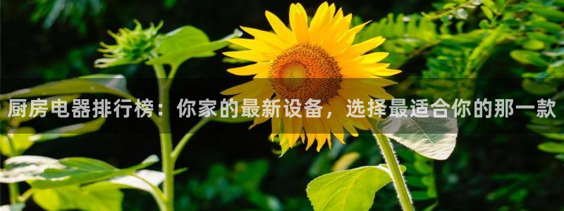cq9电子游戏火神