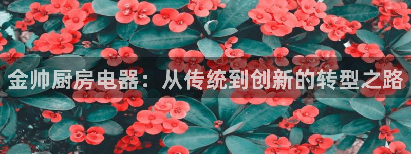 CQ9电子 网址
