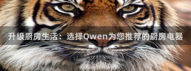 cq9电子实战经验