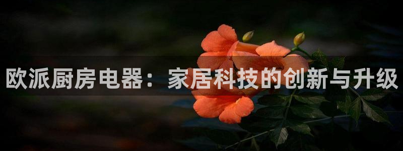 cq9电子游戏开发