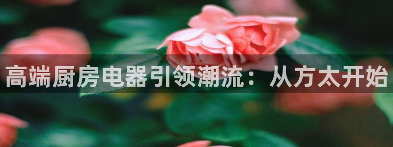 CQ9传奇电子大奖截图
