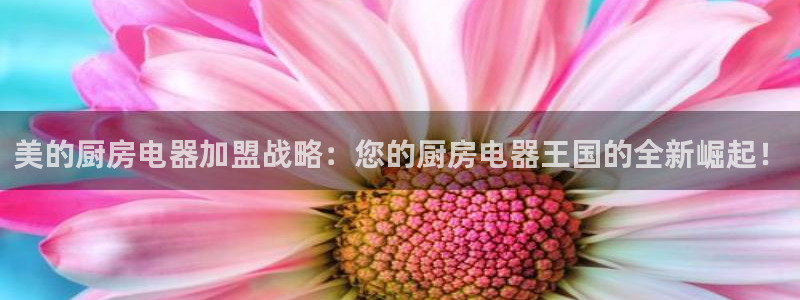 cq9电子官方入口