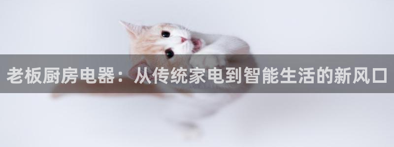 cq9电子名声问题