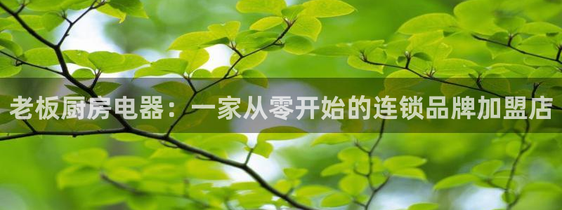 cq9电子不夜城