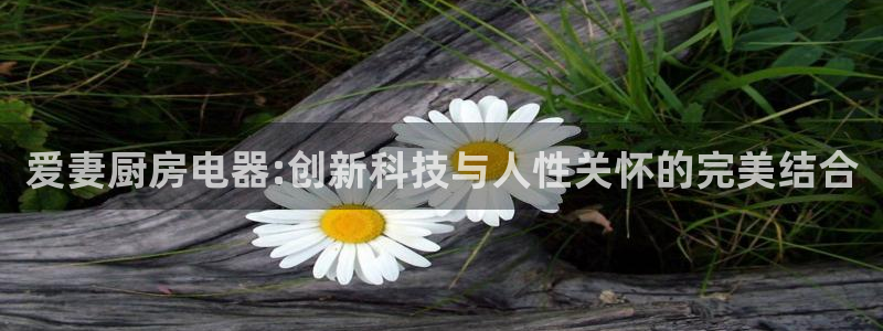 cq9电子在哪玩