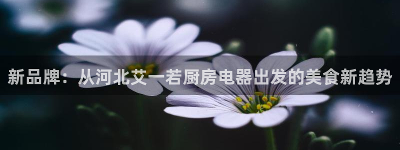 cq9电子平台哪里玩