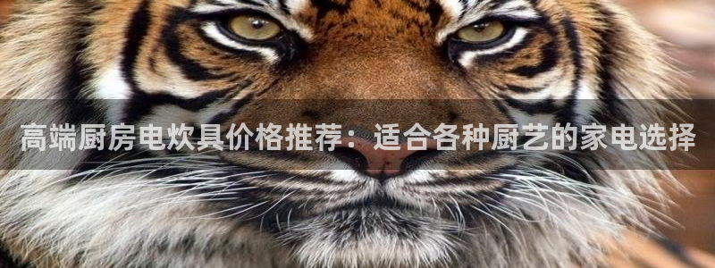 cq9电子传奇试玩