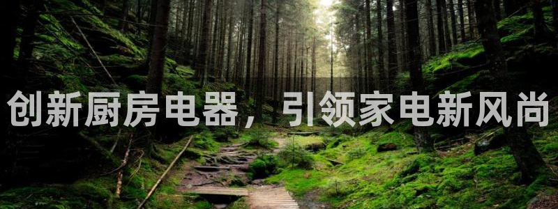 cq9电子怎么赢了