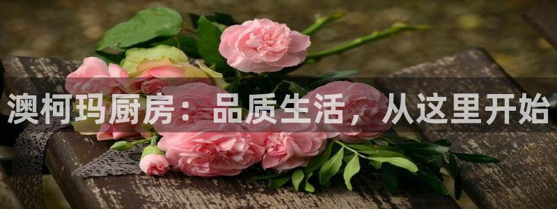 cq9电子免费体验