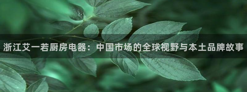 cq9传奇电子专用平台