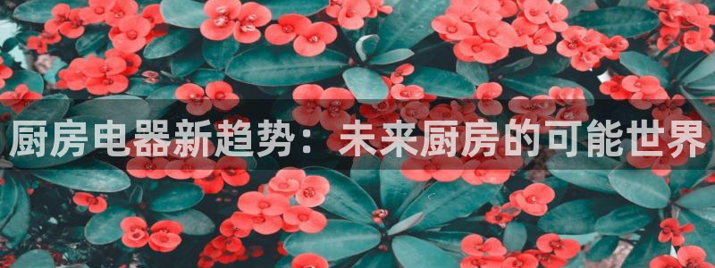 cq9电子是哪里的