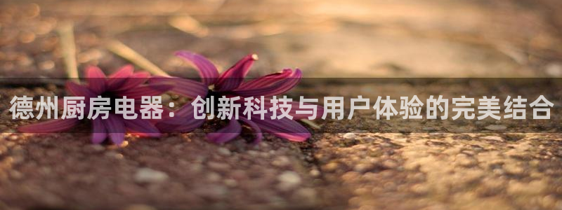 cq9电子平台背景