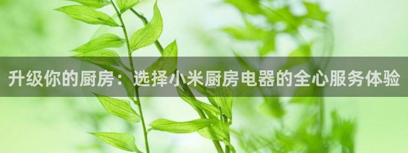 cq9电子单机游戏