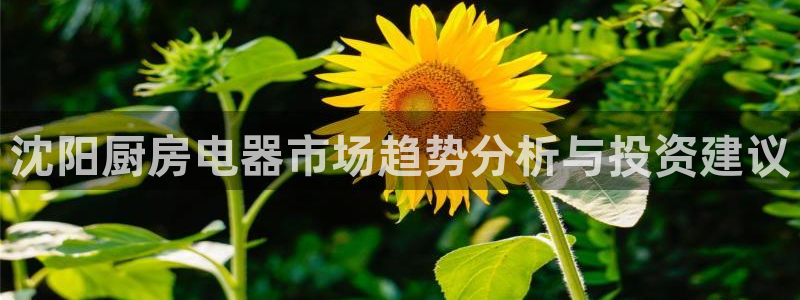 cq9电子排行