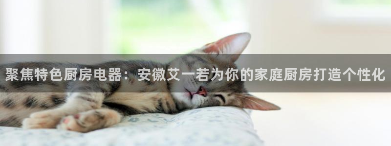cq9电子大奖视频