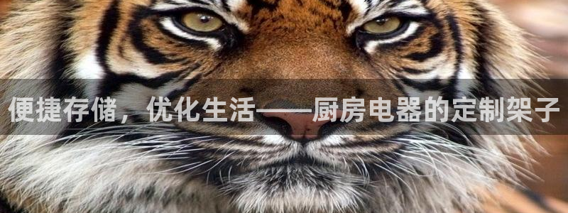 cq9电子游戏交流