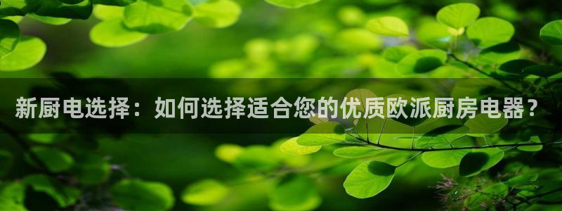 cq9电子双十一