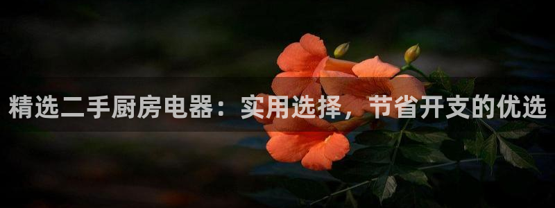 cq9电子鹊桥