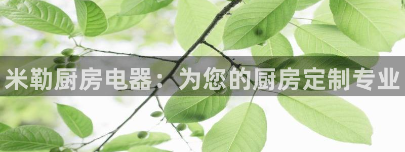 cq9传奇电子维护