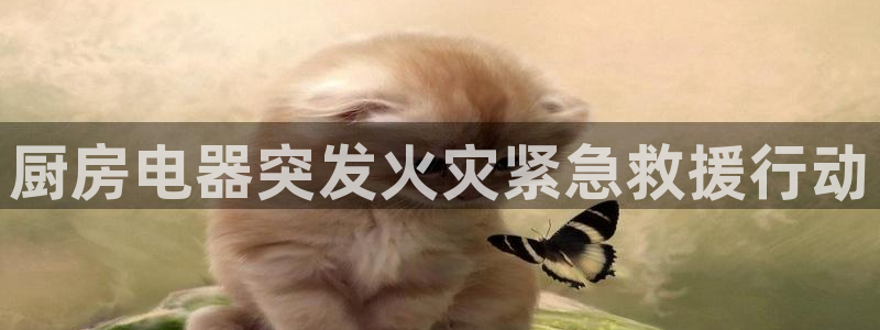 电子游戏cq9规则