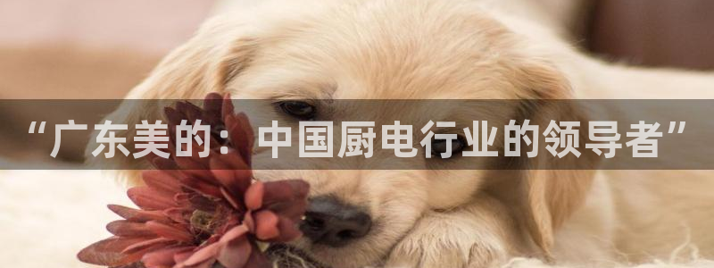 cq9电子全屏大奖