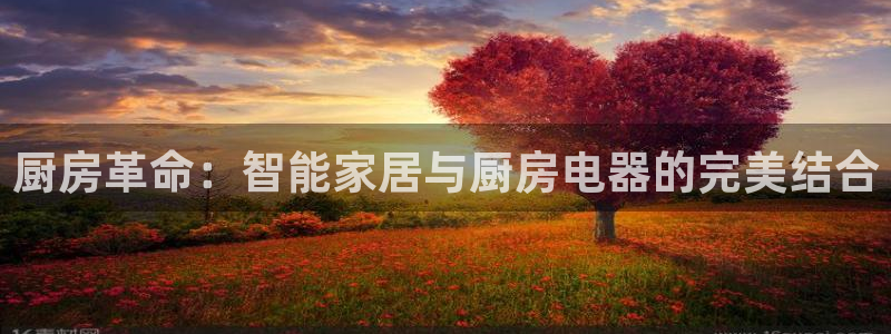 电子cq9旺旺公主