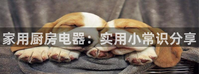 传奇cq9电子厂