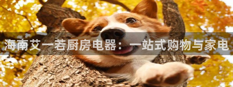 cq9电子黑豹