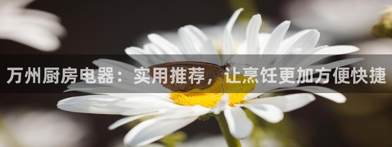 有cq9的电子棋牌