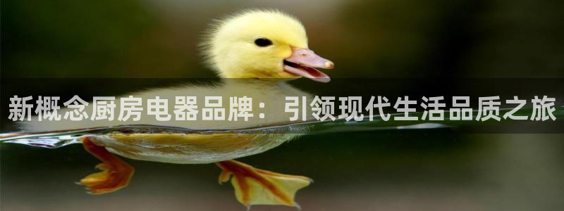 cq9传奇电子平台