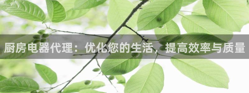 电子女王cq9