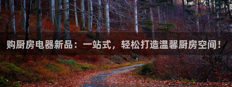 cq9电子赌城之夜