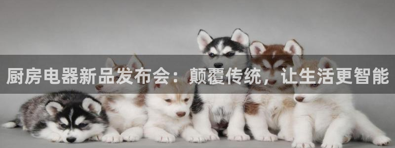 cq9电子钢琴