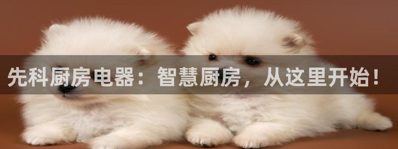cq9电子维护都在玩