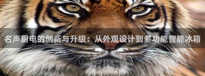 cq9电子免费游戏试玩