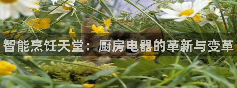 CQ9电子凡cf66