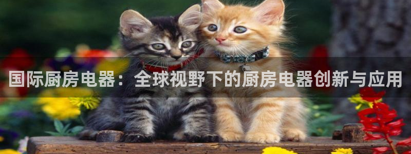 cq9传奇电子手机版