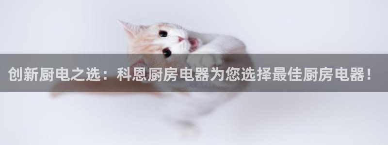 cq9传奇电子dj