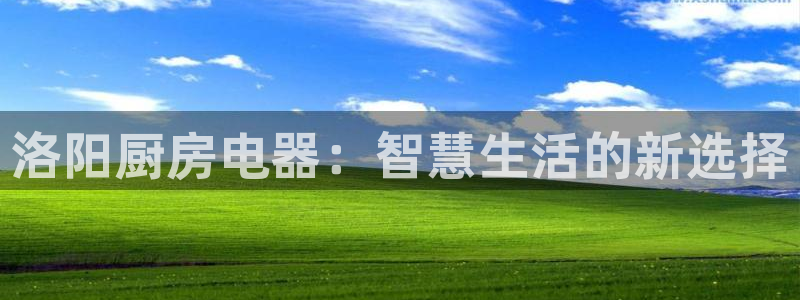 cq9电子官网词典