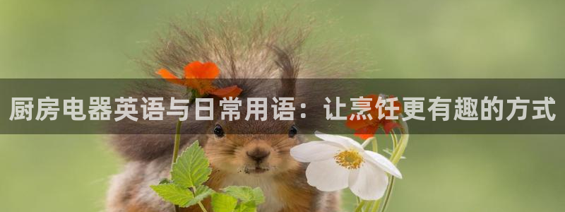 传奇cq9电子刀
