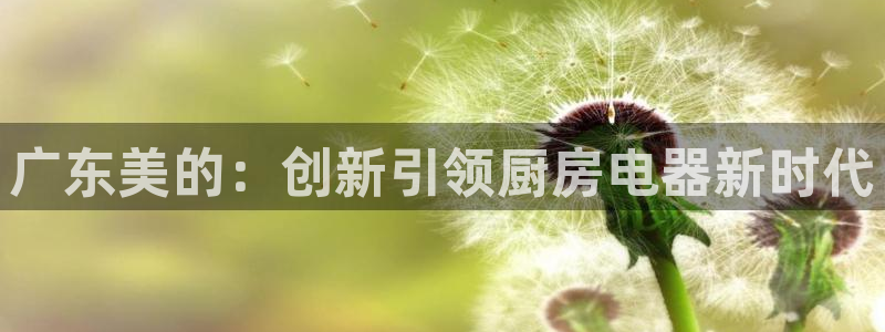 cq9电子游艺成功了吗