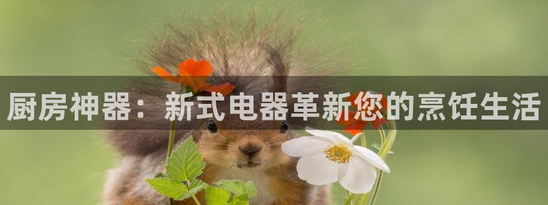 电子CQ9如何控制